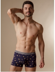 Мужские трусы боксеры "Индефини" (Арт.631000-1211MUF)