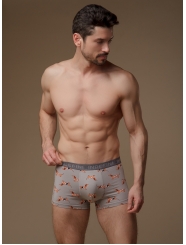 Мужские трусы боксеры "Индефини" (Арт.634000-1210MUF)