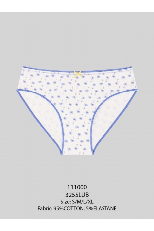 Женские белые трусы слипы (Арт. LUB3255)