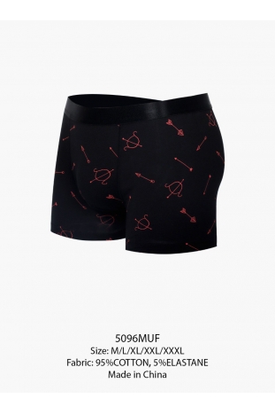 5096MUF Мужские трусы